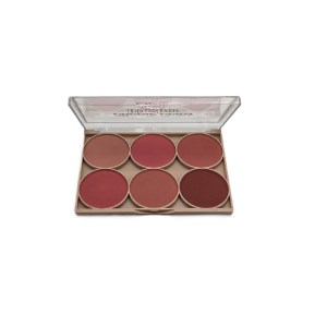 رژگونه 6 رنگQUEEN MINI رژگونه 6 رنگQUEEN MINI